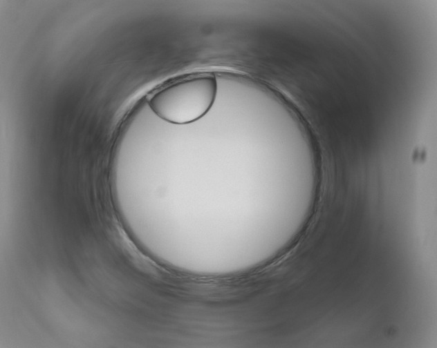 X0000111021452200906191219