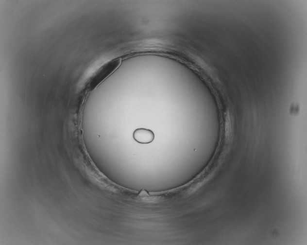 X0000111021453200906191219