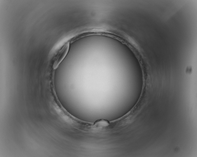 X0000111021456200906191219