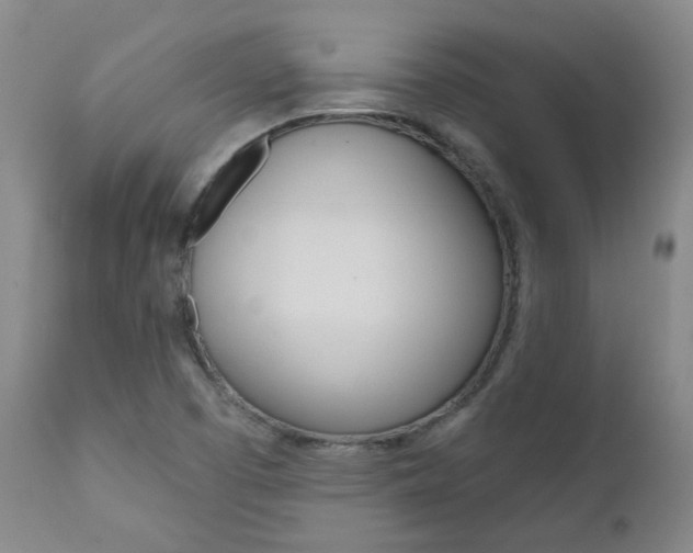 X0000111021457200906191219