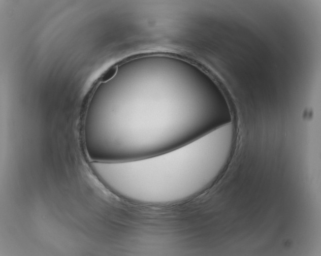 X0000111021460200906191219