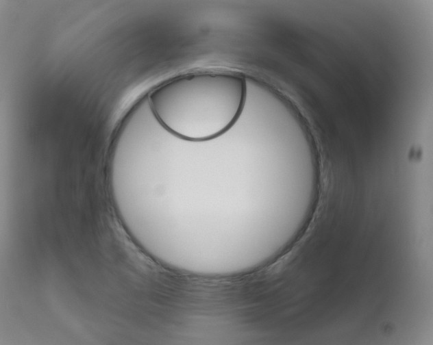 X0000111021461200906191219