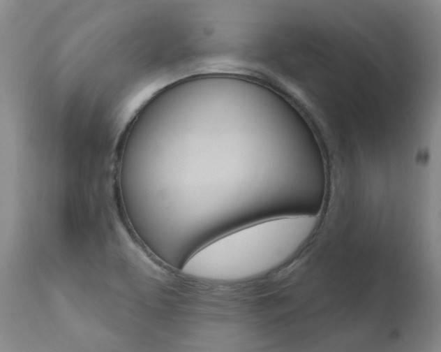 X0000111021463200906191219