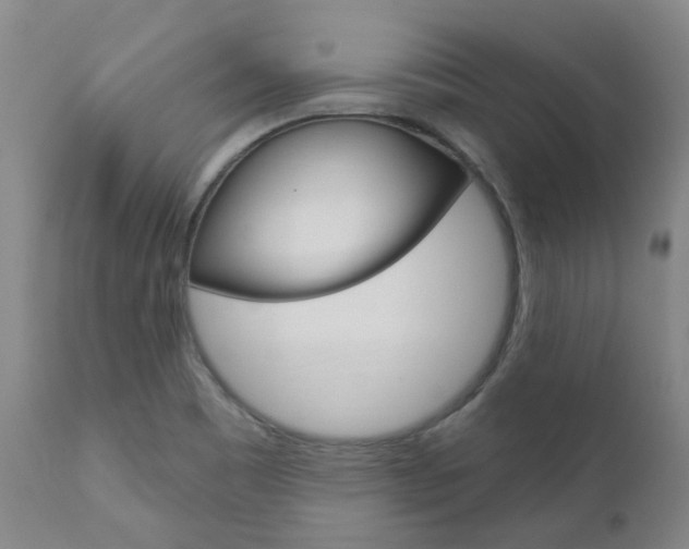 X0000111021465200906191219