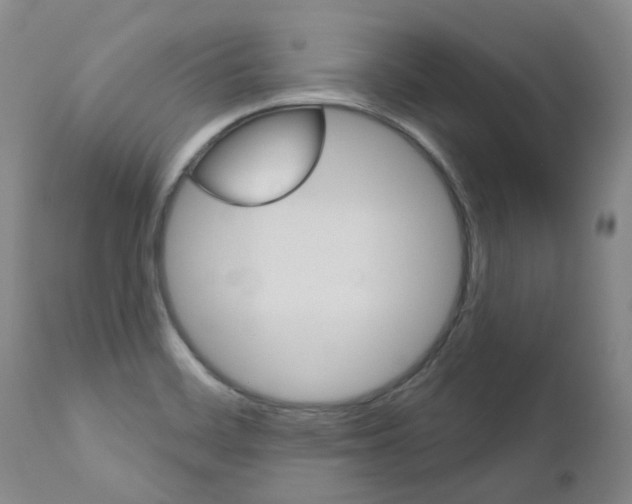 X0000111021468200906191219