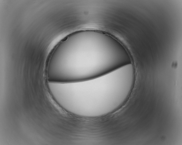 X0000111021469200906191219