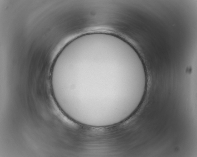 X0000111021470200906191219