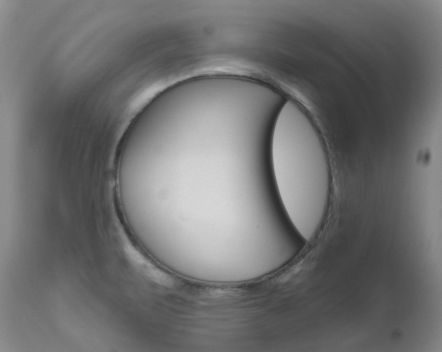 X0000111021471200906191219
