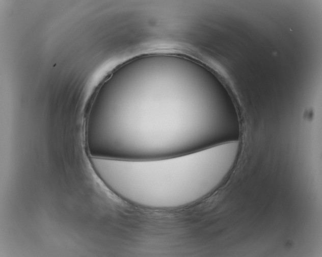 X0000111021472200906191219