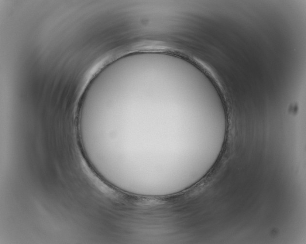 X0000111021475200906191219