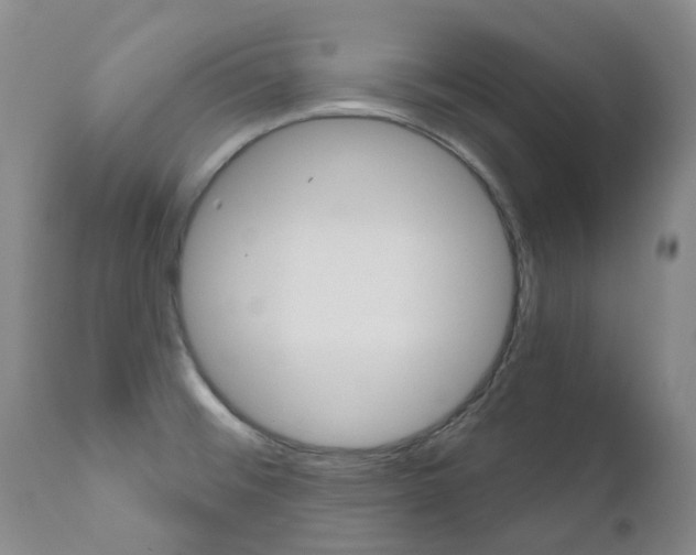 X0000111021476200906191219