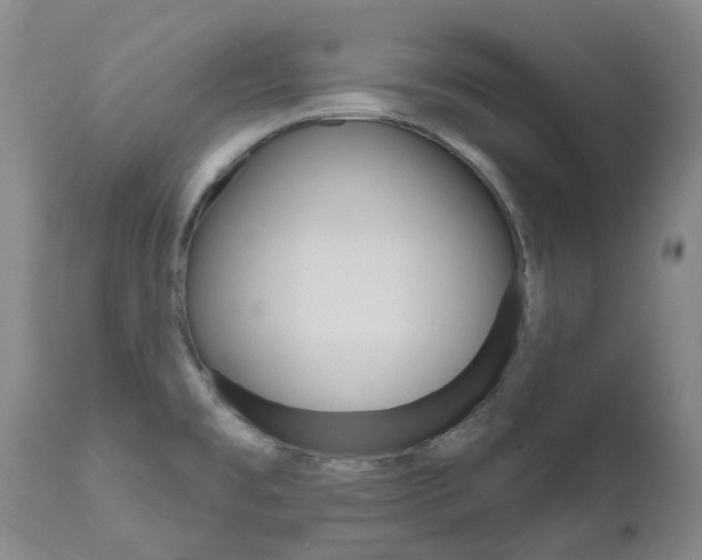 X0000111021477200906191219