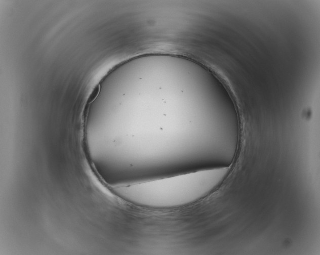 X0000111021479200906191219