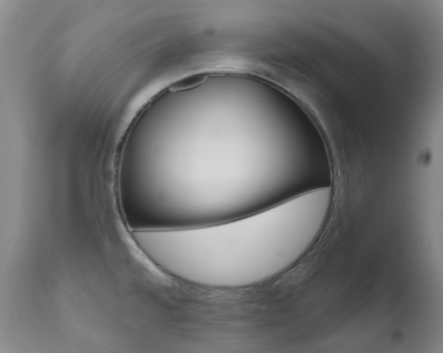X0000111021480200906191219