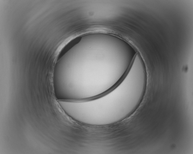 X0000111021481200906191219