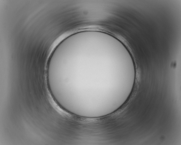 X0000111021482200906191219