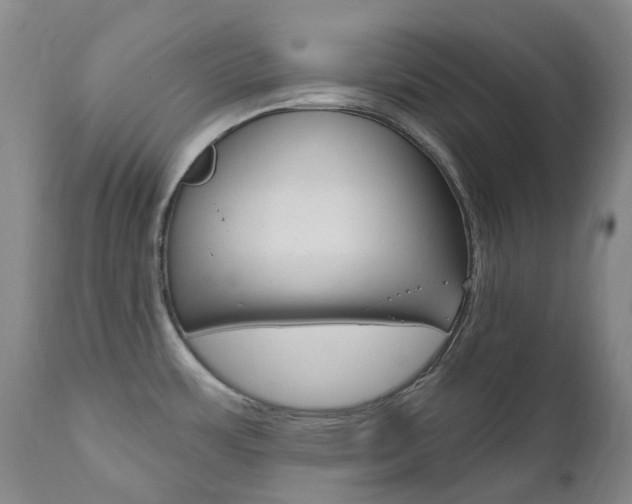 X0000111021483200906191219