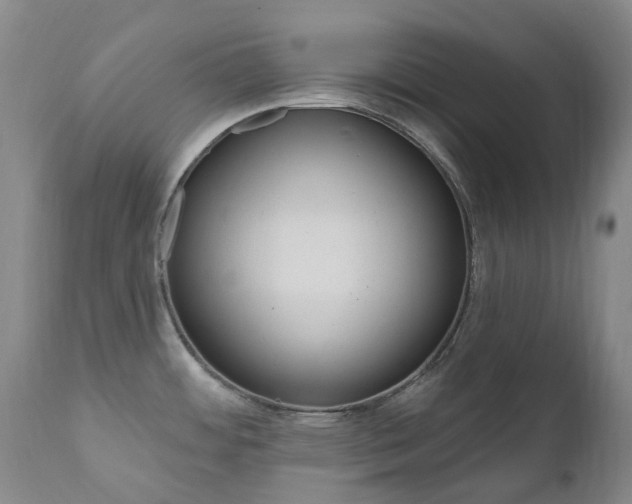 X0000111021484200906191219