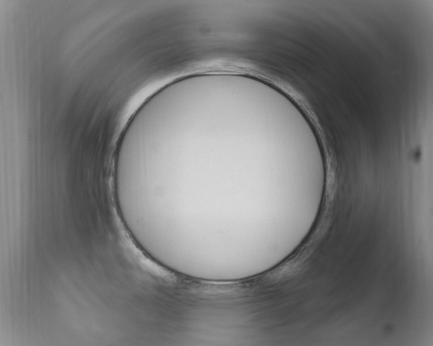X0000111021486200906191219