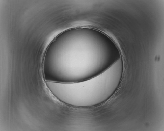 X0000111021488200906191219