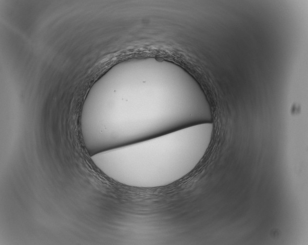 X0000111021489200906191218