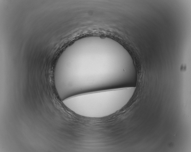 X0000111021490200906191218