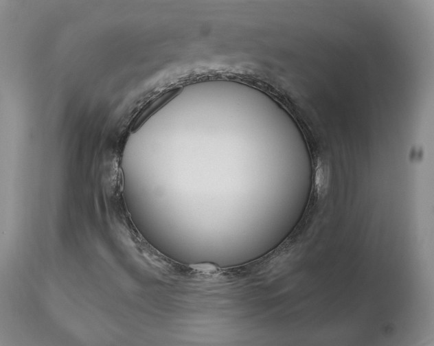X0000111021492200906191218