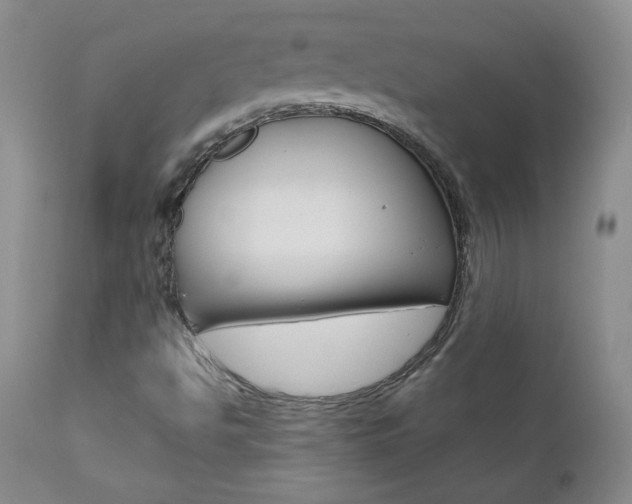 X0000111021494200906191218