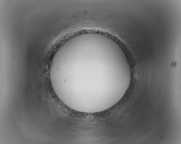 X0000111021495200906191218