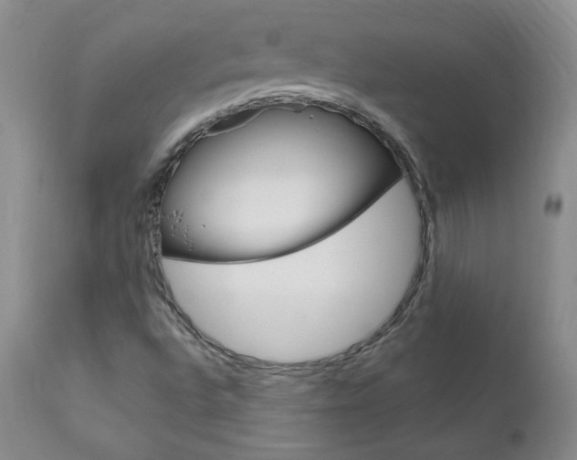X0000111021496200906191218