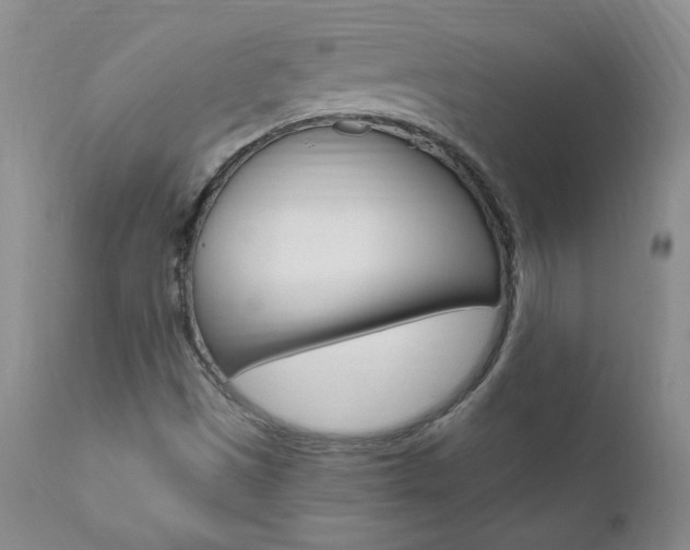 X0000111021497200906191218