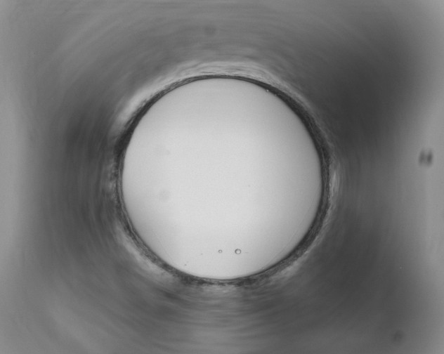 X0000111021498200906191218
