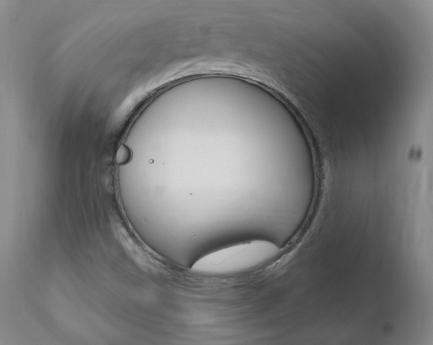 X0000111021499200906191218