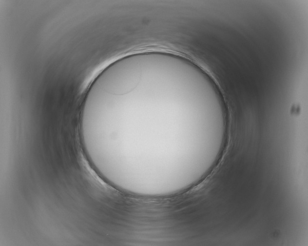 X0000111021500200906191218