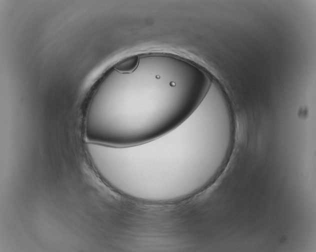 X0000111021502200906191218