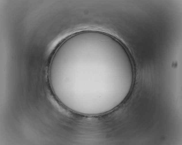 X0000111021503200906191218