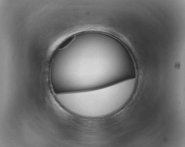 X0000111021504200906191218