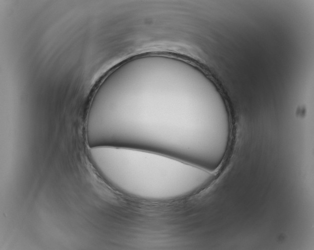 X0000111021505200906191218