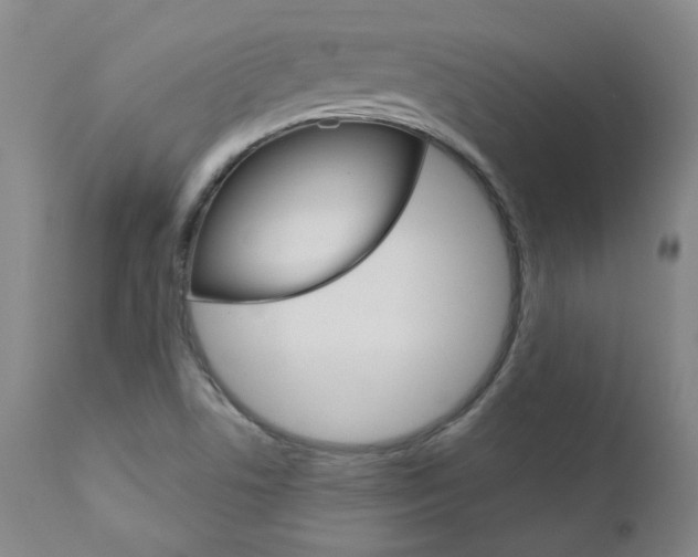 X0000111021506200906191218
