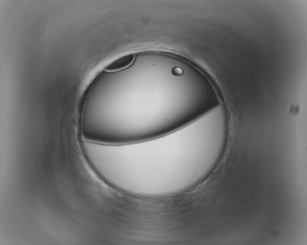 X0000111021508200906191218