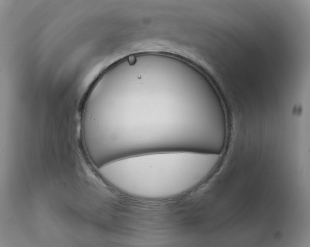 X0000111021509200906191218