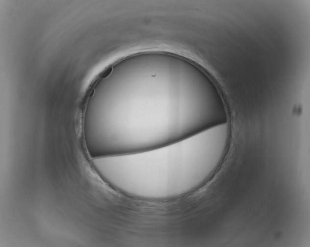 X0000111021510200906191218