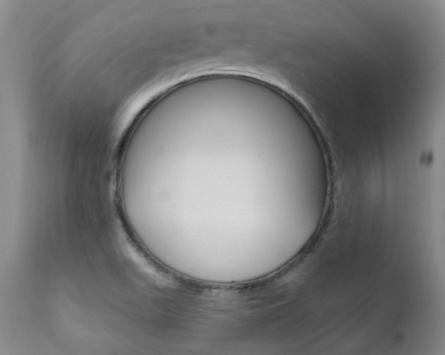 X0000111021511200906191218