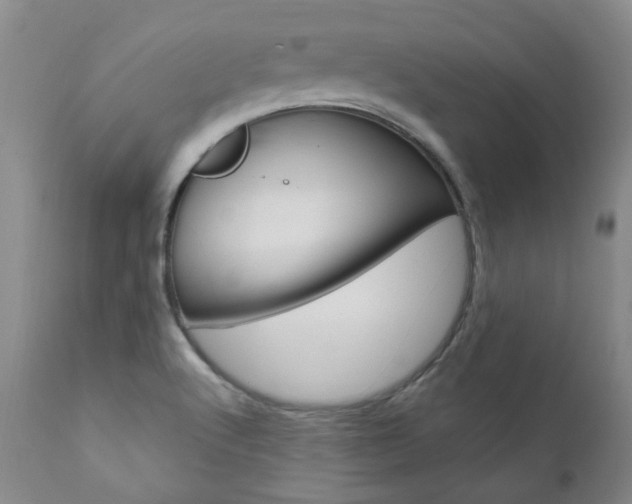 X0000111021512200906191218