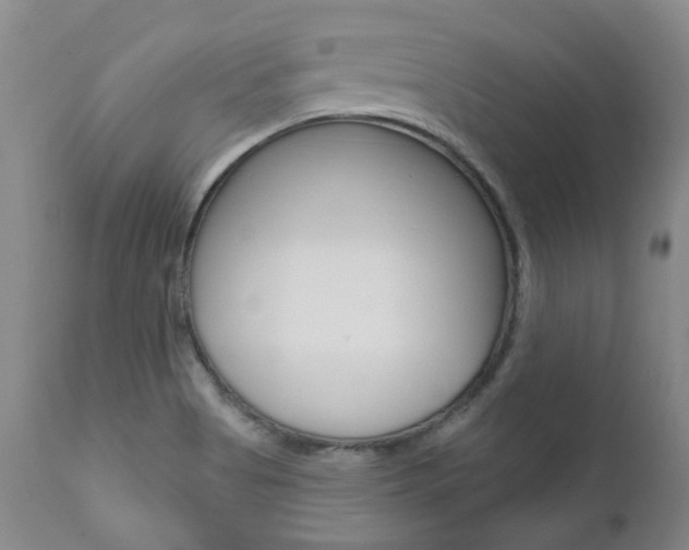 X0000111021513200906191218