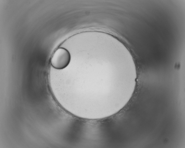 X0000111021514200906191218