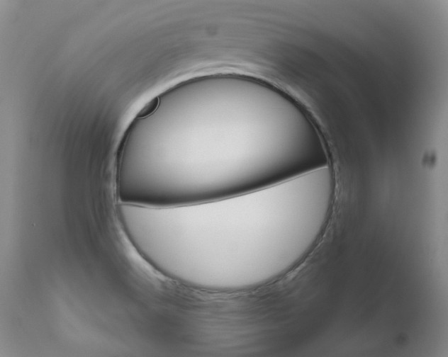 X0000111021516200906191218