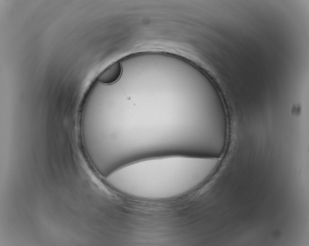 X0000111021517200906191218