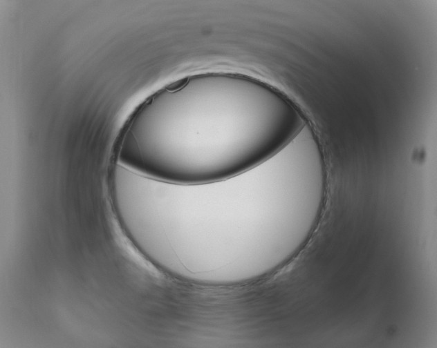 X0000111021518200906191218