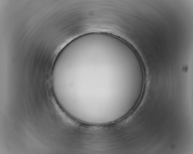 X0000111021521200906191218